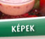 k�pek